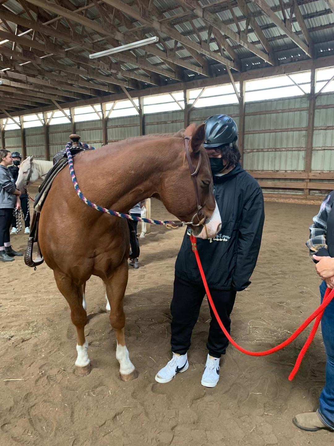 Horse Riding — photo 9